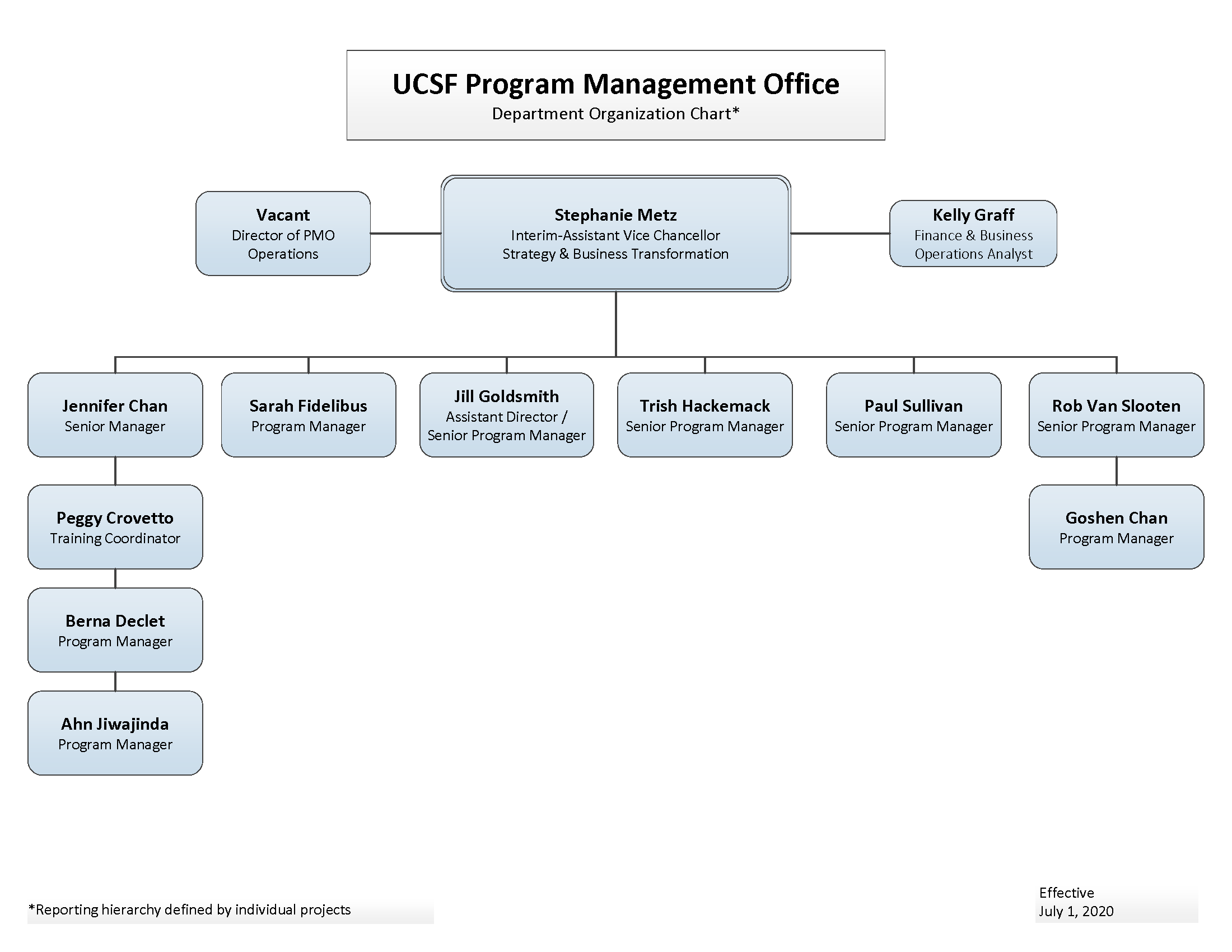 Program Management Organization Chart